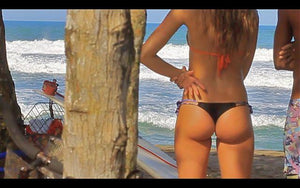 BALARAM AND GEISELMAN IN COSTA RICA